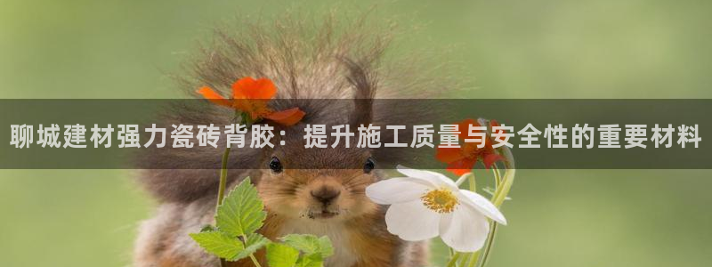 杏鑫平台登录地址查询