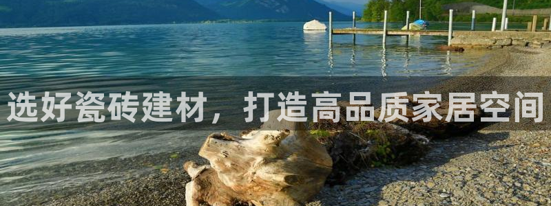 杏鑫平台代理注册流程图