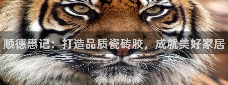 杏鑫娱乐平台