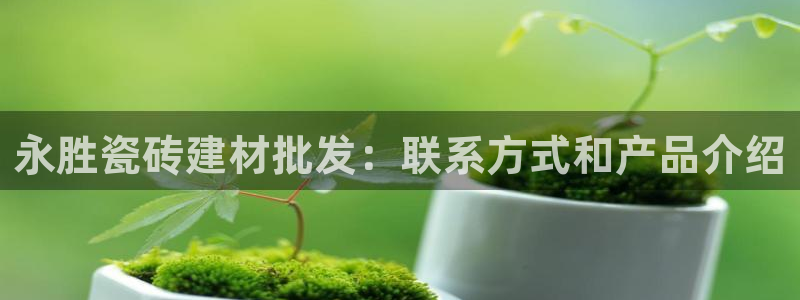 杏鑫官方平台怎么样