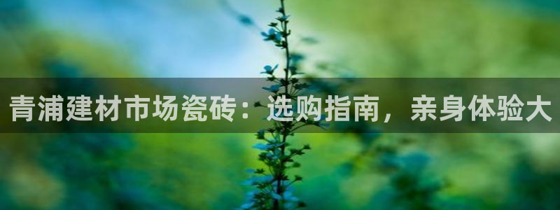 杏鑫平台念7O777
