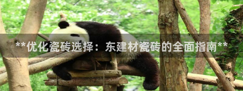 杏鑫平台待遇