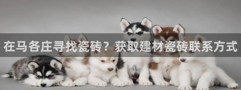 杏鑫平台招商怎么样啊