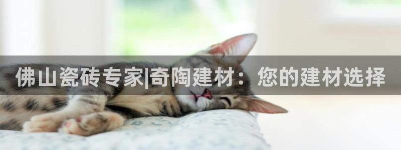 杏鑫平台招商电话号码
