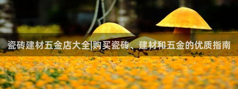 杏鑫平台登陆
