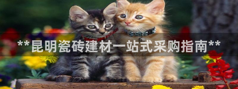 杏鑫娱乐多少年了