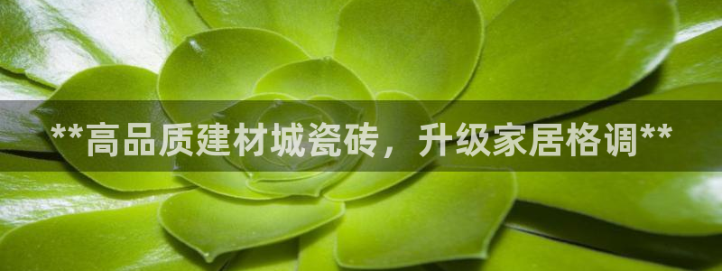 杏鑫娱乐官方网站客户端
