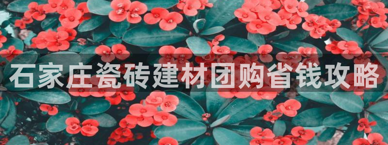 杏鑫平台直属