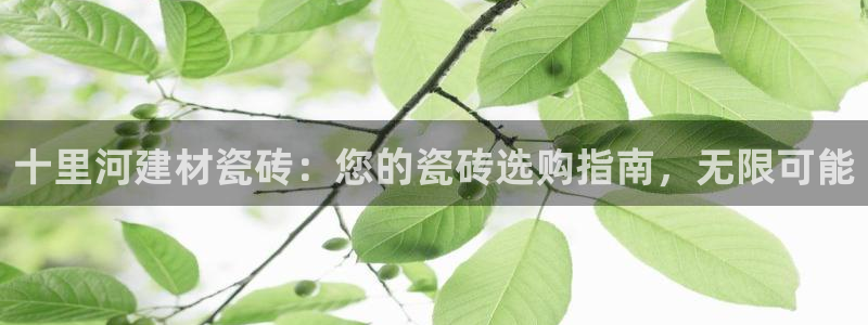 杏鑫平台招商电话号码