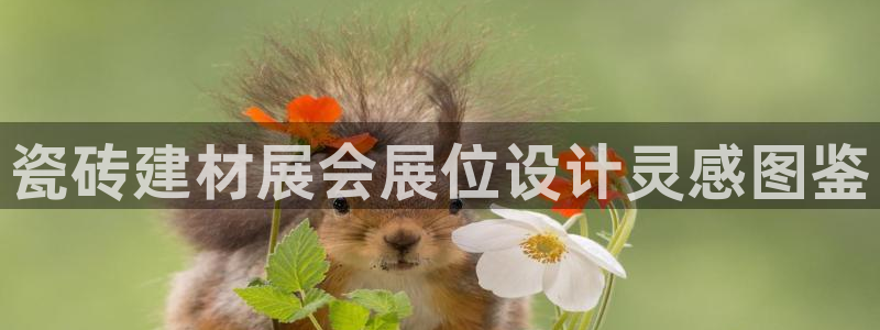 杏鑫平台招商电话是多少