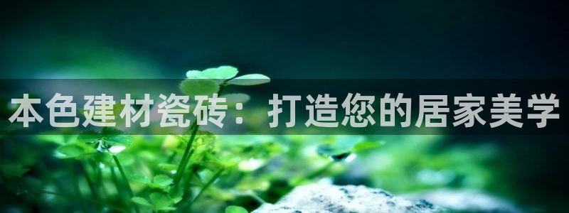 杏鑫平台待遇