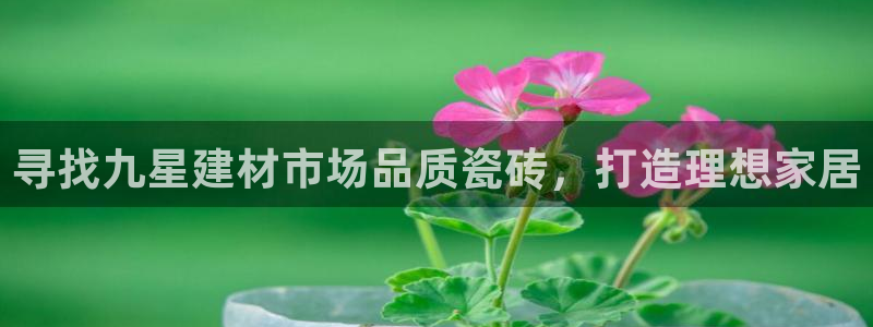 杏鑫平台代理怎么做的