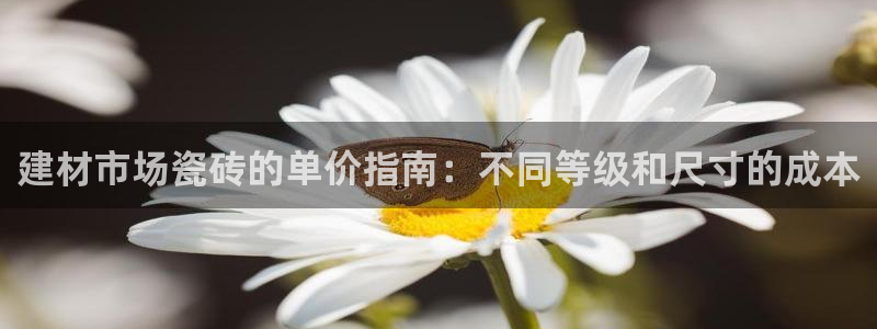 杏鑫平台代理