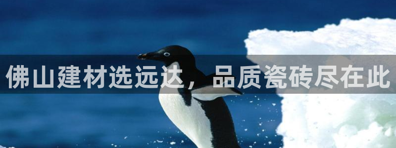 杏鑫娱乐官网首页