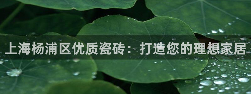 杏鑫娱乐怎么样