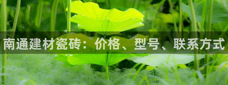 杏鑫平台怎么样黑钱吗是真的吗