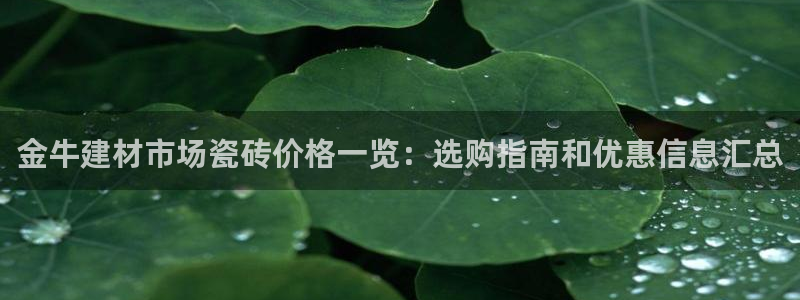 杏鑫官方平台怎么样啊