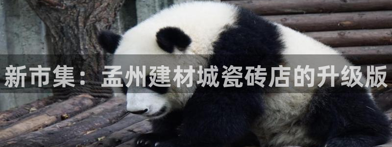 杏鑫平台平台娱乐