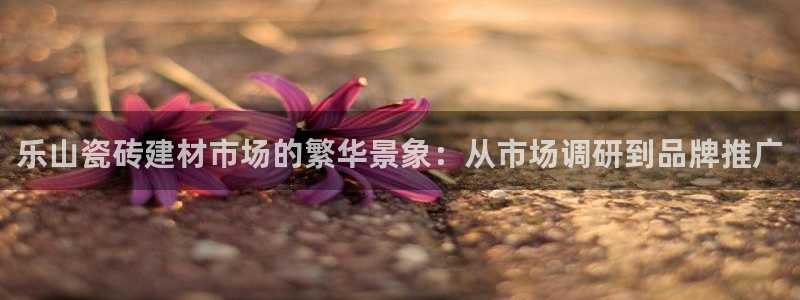 杏鑫官网最新信息