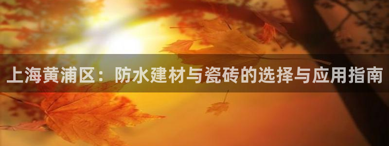 杏鑫娱乐负责人